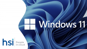 Windows 11 HSI